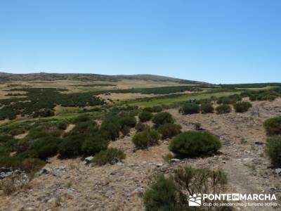 Pinar de Canencia y Mina de Plata del Indiano;rutas por madrid;viajes en febrero